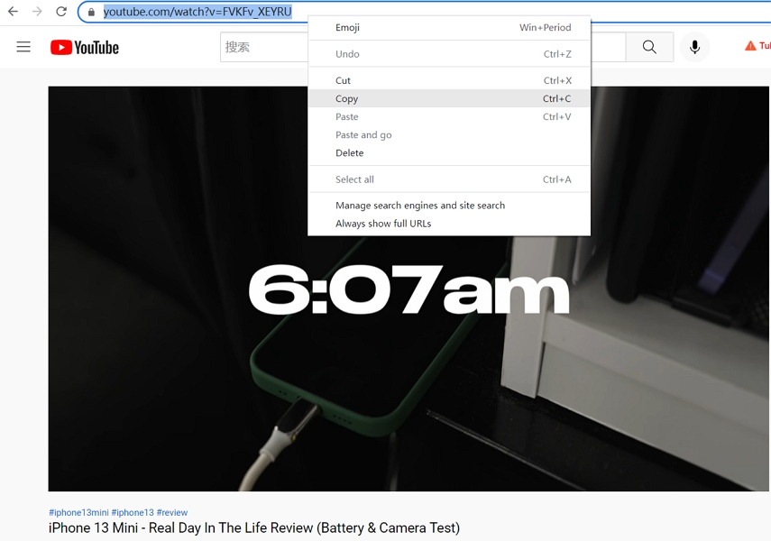 copy URL link