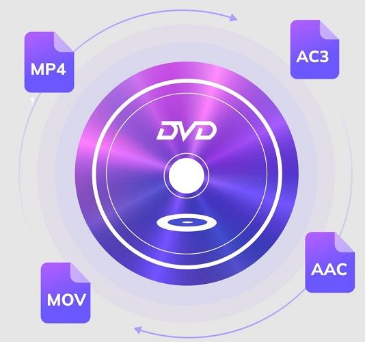 hitpaw dvd converter