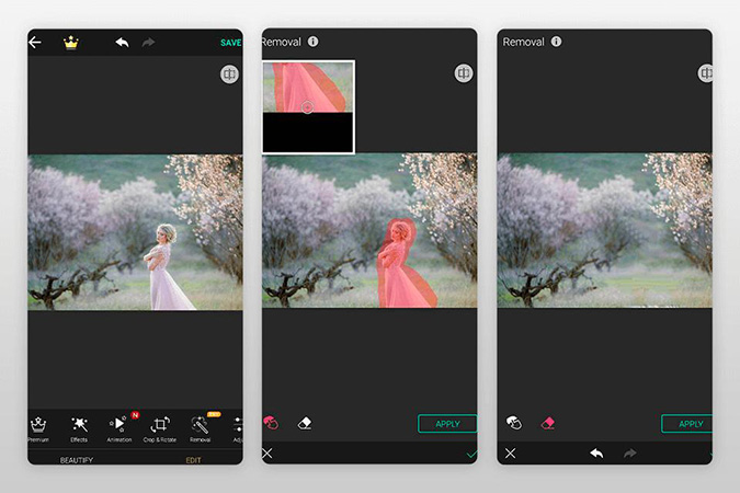 apps to remove objects from pictures